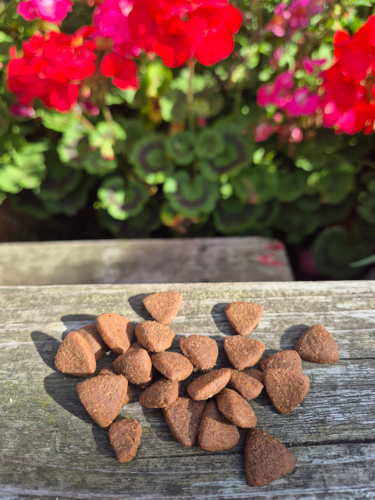 Buffalo Crunchy Bites