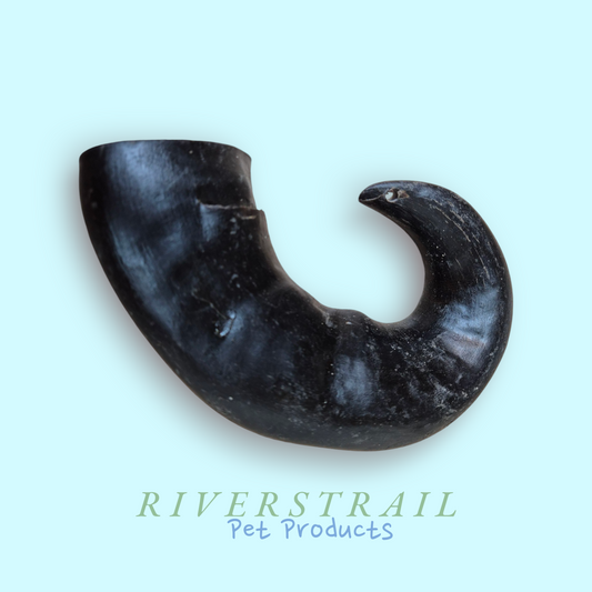 Medium Buffalo Horns