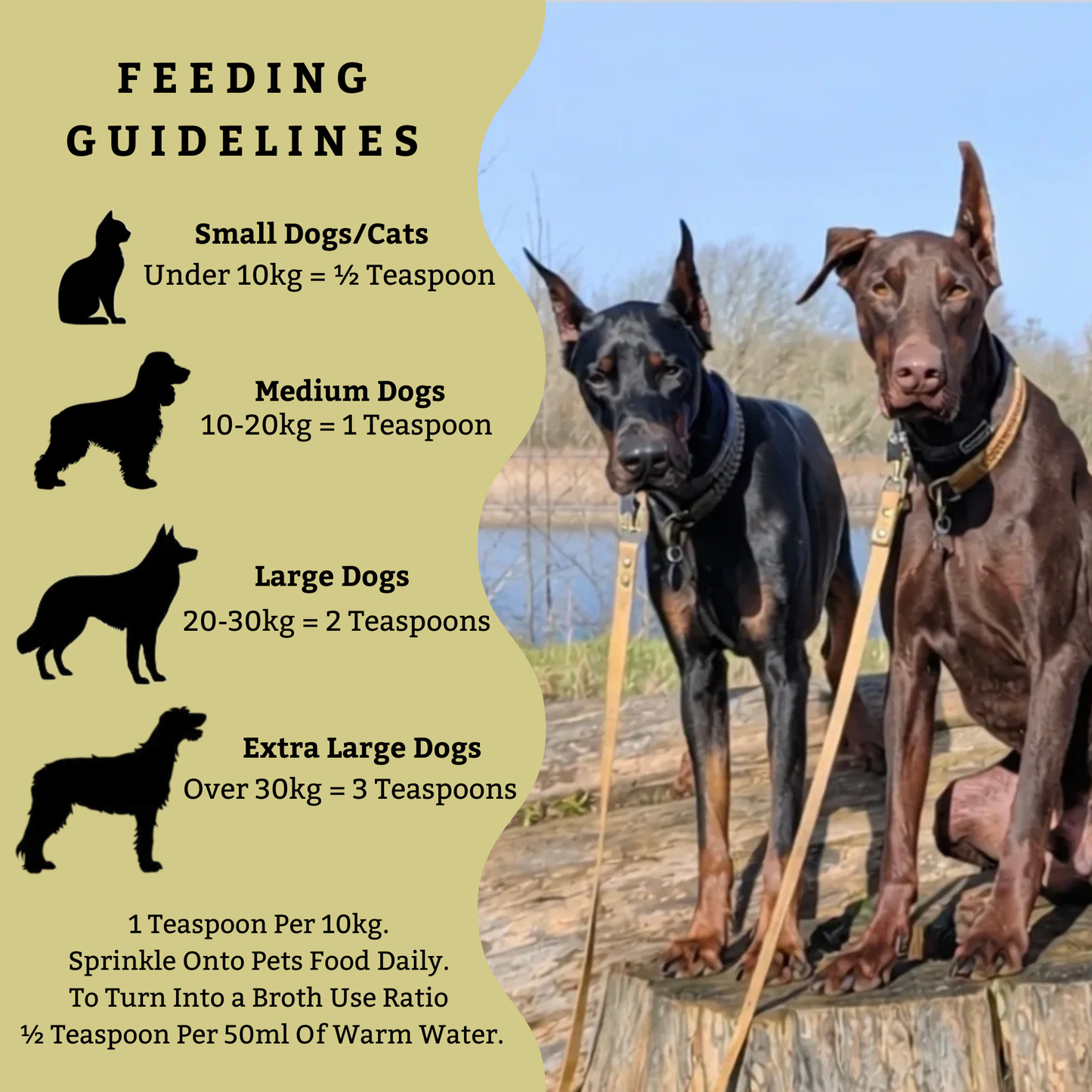 Chicken Bone Broth Powder!