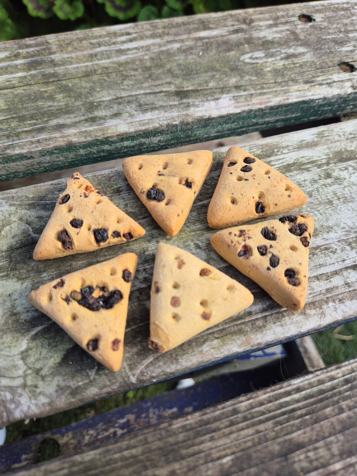 Fruit Biscuit Slices
