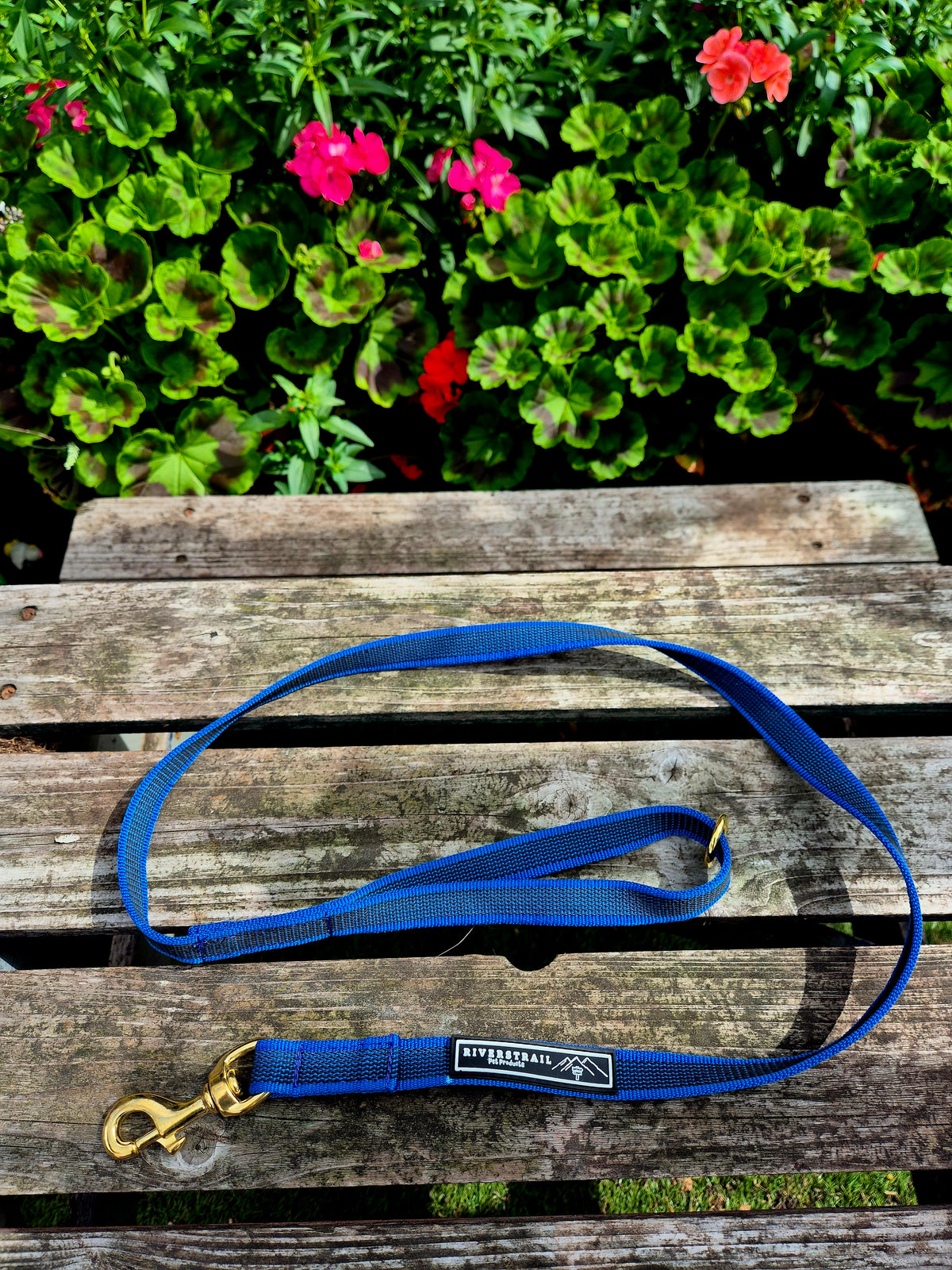 Grippy Everyday lead!