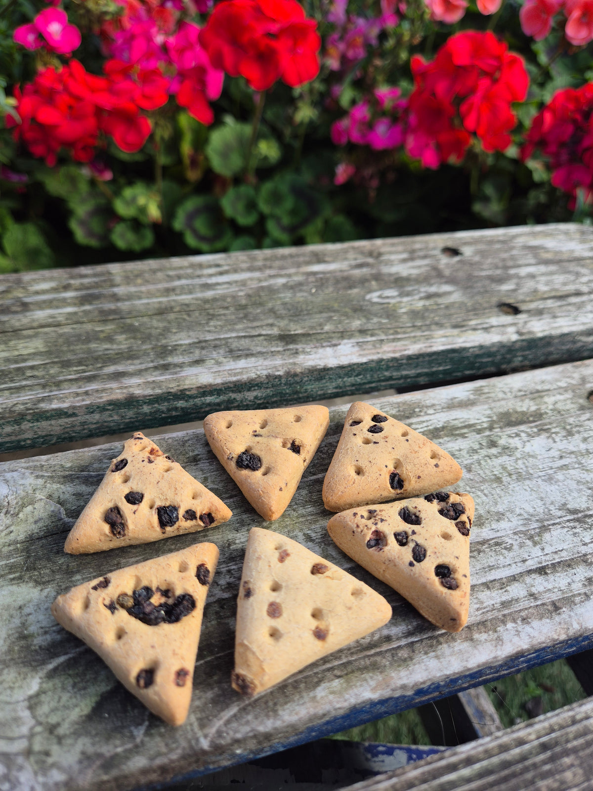 Fruit Biscuit Slices