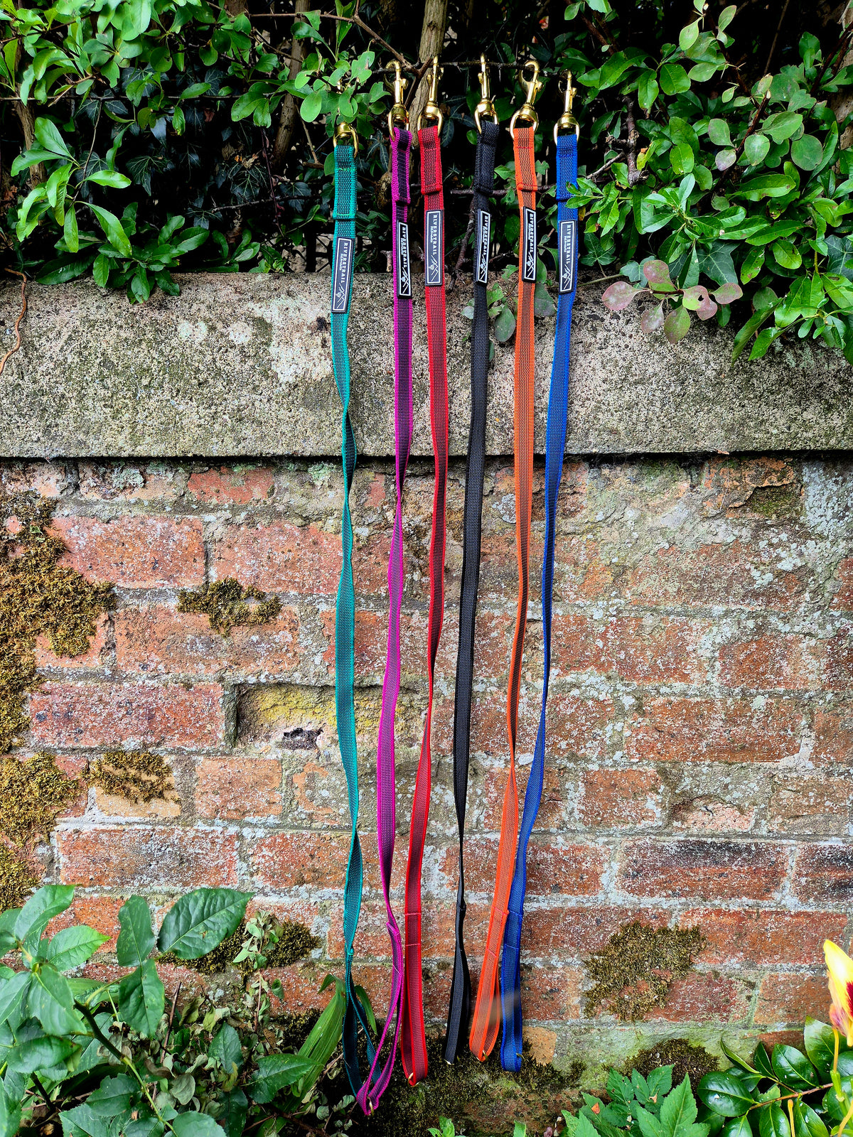 Grippy Everyday lead!