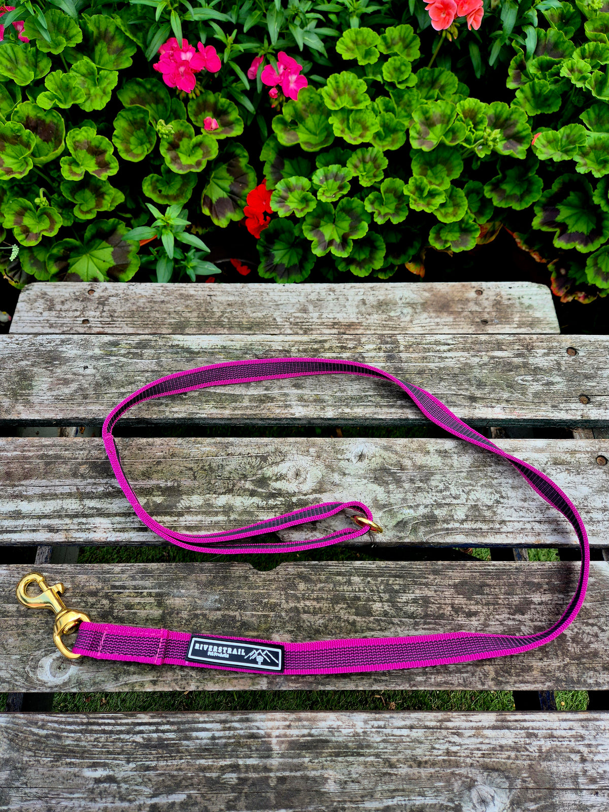 Grippy Everyday lead!