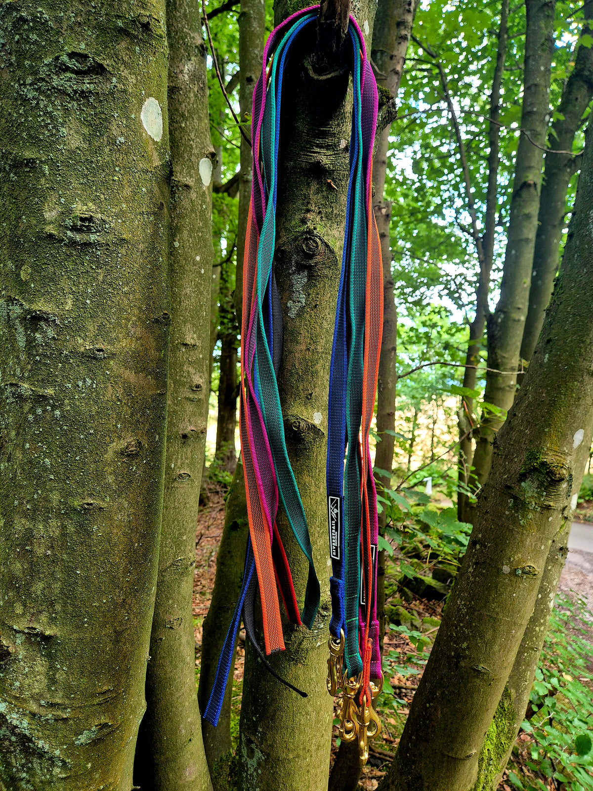 Grippy training leads!