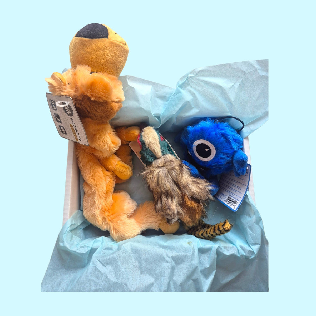 Toy box!