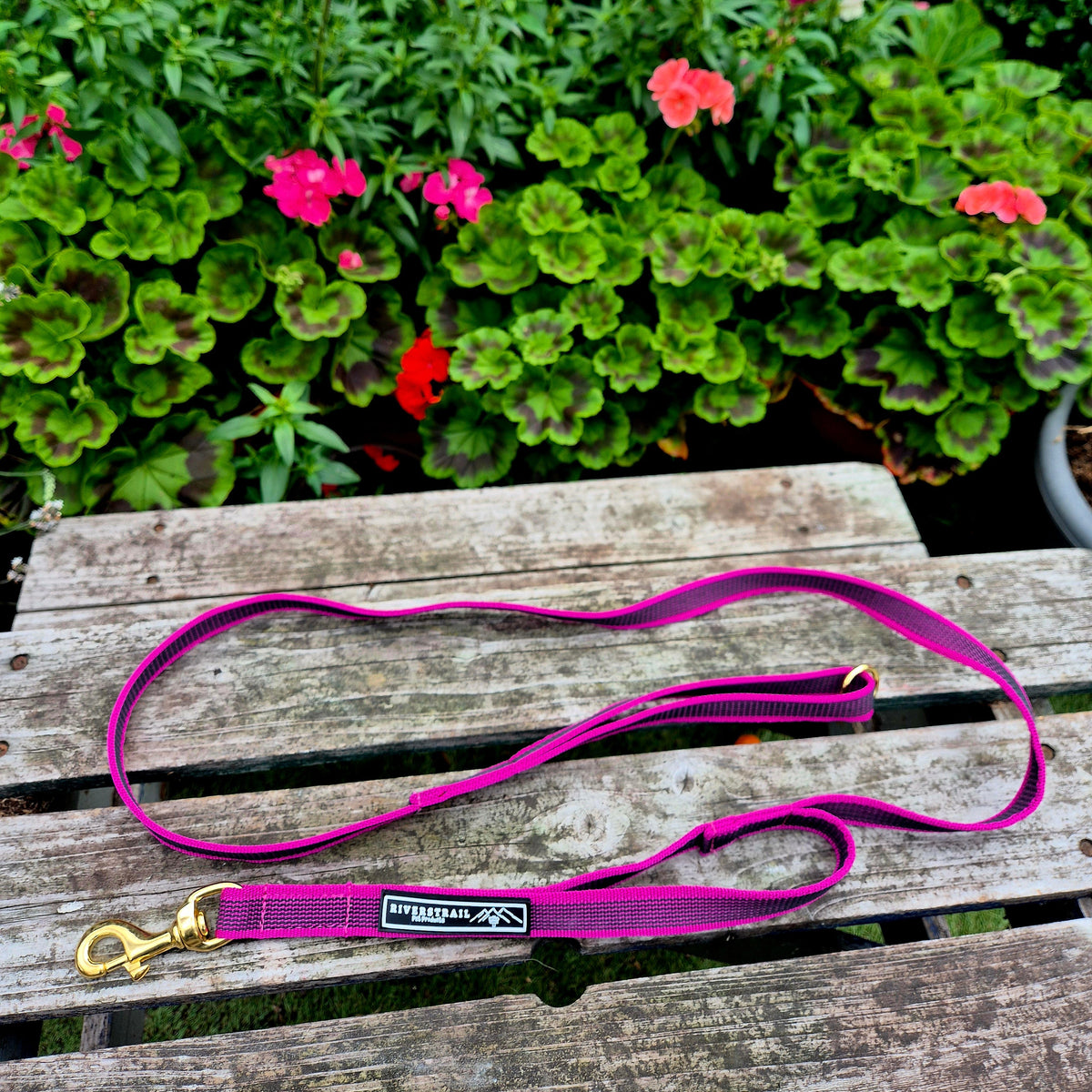 Grippy Double handled Lead!